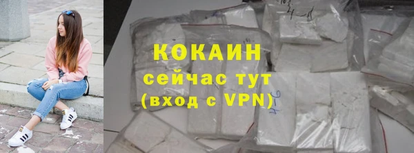 прущие грибы Бронницы